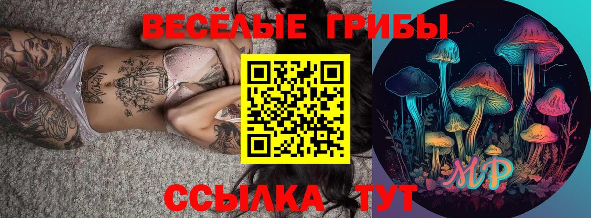 Псилоцибиновые грибы Cubensis  Вход с VPN  Кинель 